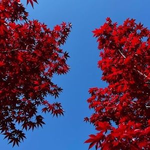 Meet your Posher, Marco